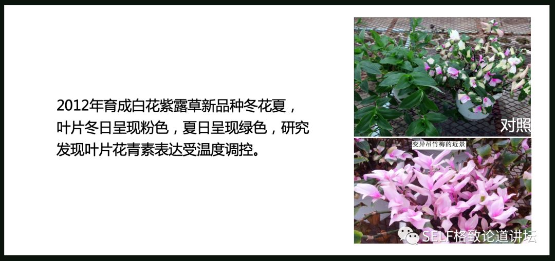 这个装置成功辅助我国两弹爆炸，现在它能治疗肿瘤