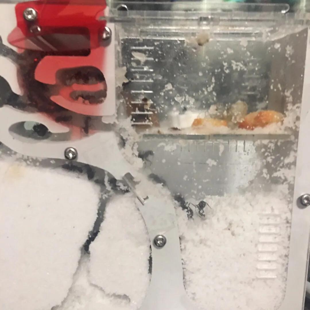 我的足球小将完整版视频,我的足球少年