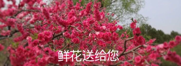 《我们永远是祖国的兵》（二）庆祝“八一”建军节93周年联欢晚会