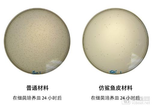 罗永浩和锤子合集,罗永浩的锤子篇