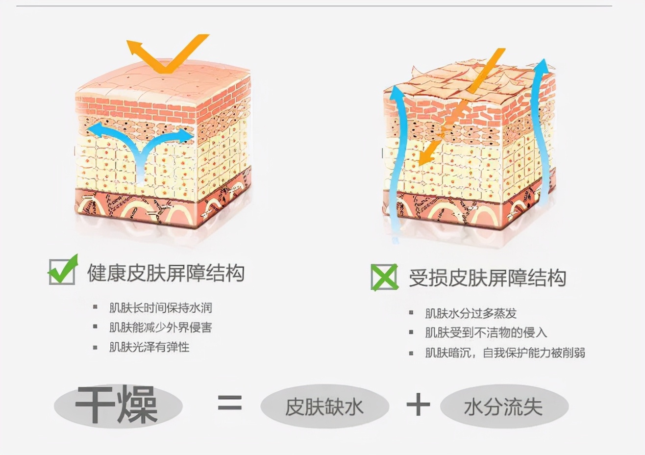 适合皮肤泛红角质层薄的大牌面霜,换季补水抗皱面霜