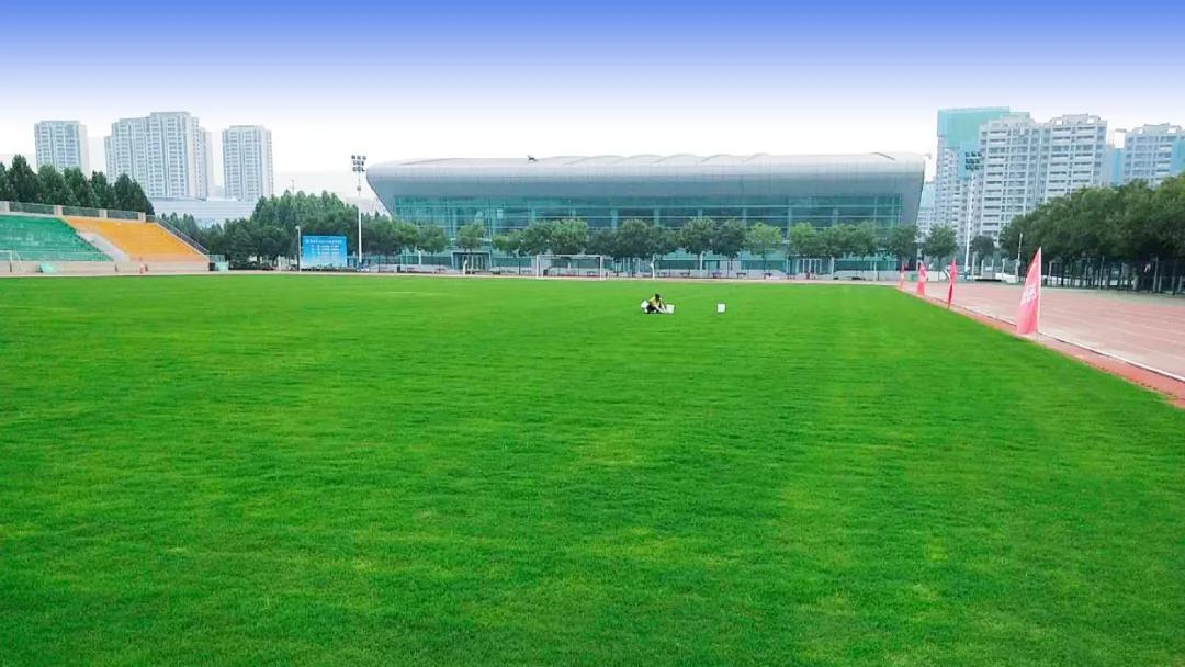 第十四届全运会新疆队足球赛回放,运动会快乐足球