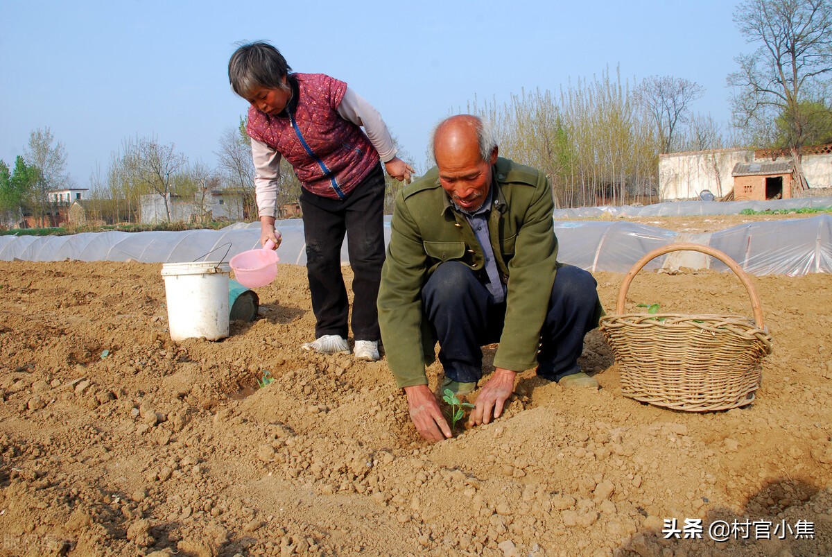 农村土地统一耕种新政策,农村个人耕地面积小怎么办