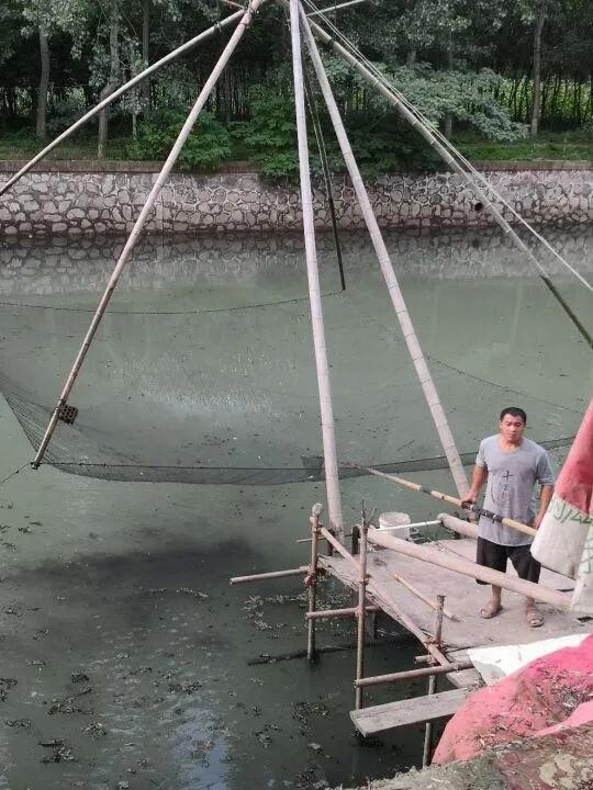 非法捕捞有什么危害,最新非法捕捞立案标准