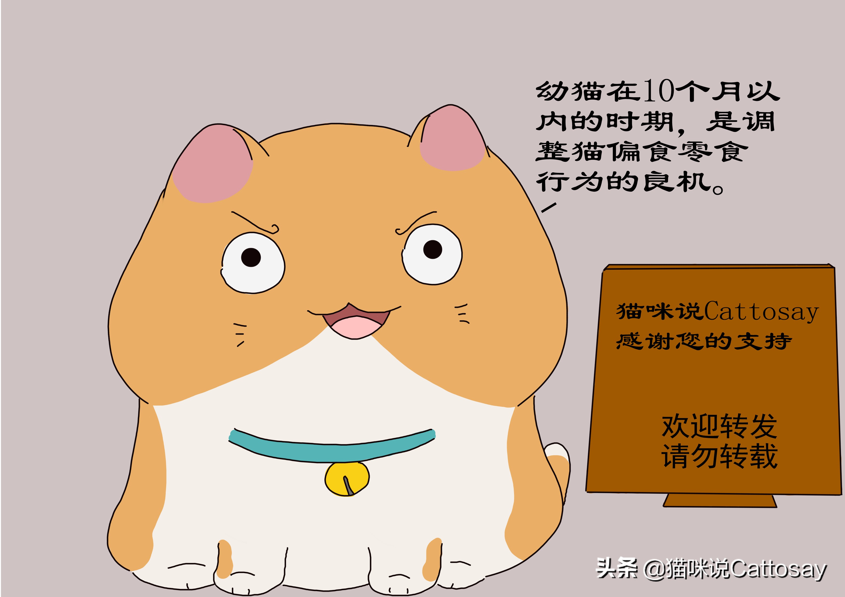 猫挑食硬喂能矫正吗,猫挑食用鸡肝粉拌猫粮