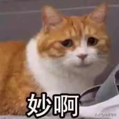 那些年的非主流网名,你都用过什么非主流网名