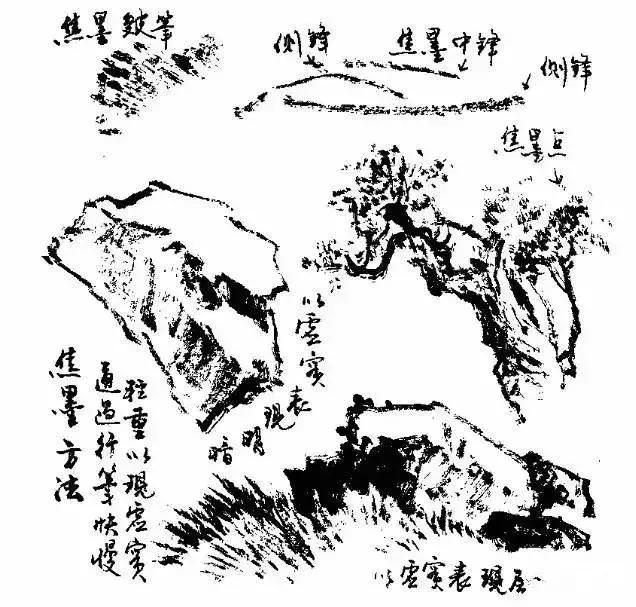 写意花鸟配景石的画法,干货写意花鸟类的画法