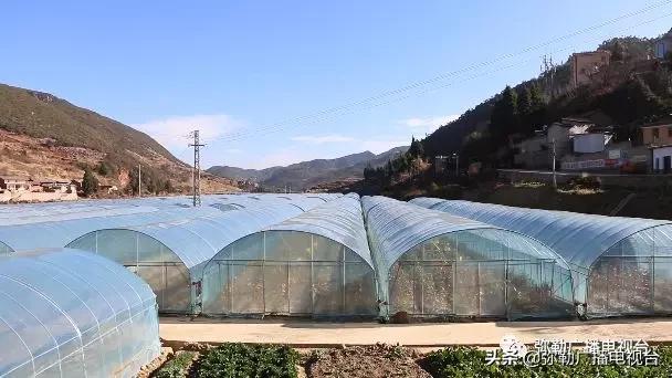 弥勒这一家子，穷！穷！富！富