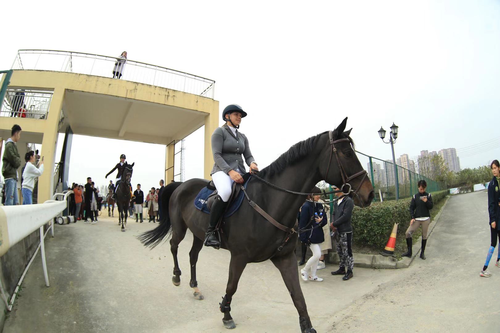 2019閲戞俯姹熻タ閮ㄩ┈鏈槈骞村崕,閲戞俯姹熼┈鏈槈骞村崕