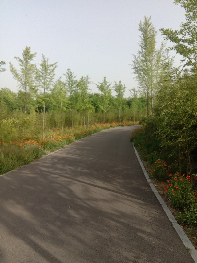 跑步上梁山,跑步上皂山