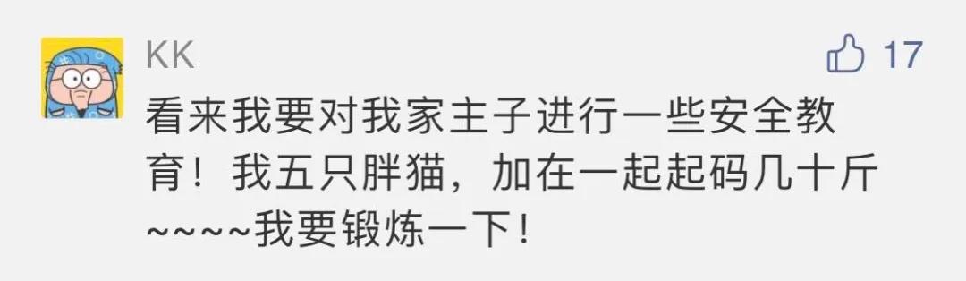 猫地震的时候没有反应,地震了猫会有反应吗