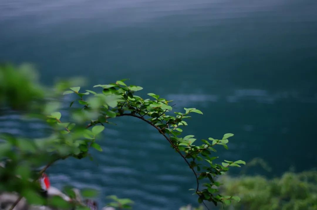 山水画乌江作品,乌江源百里画廊山水风光