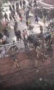 印度阅兵农民,印度阅兵大批农民开拖拉机抗议