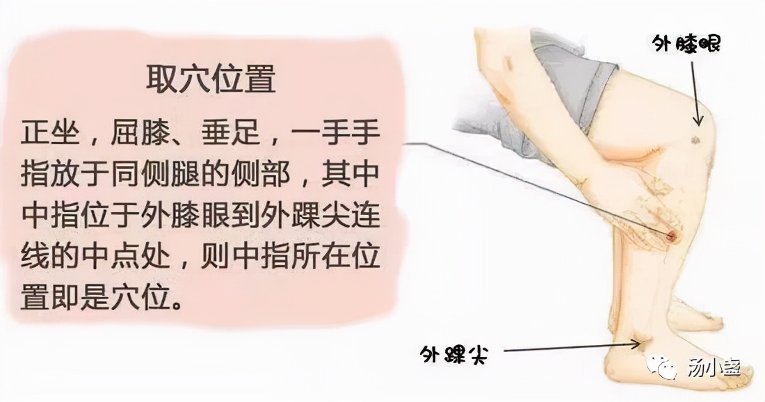 妊娠期呕吐严重怎么缓解,妊娠期母猪频繁呕吐