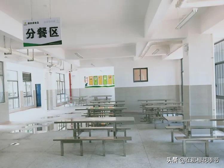 赣县稀金二小入学要求,赣县区稀金第二小学学费