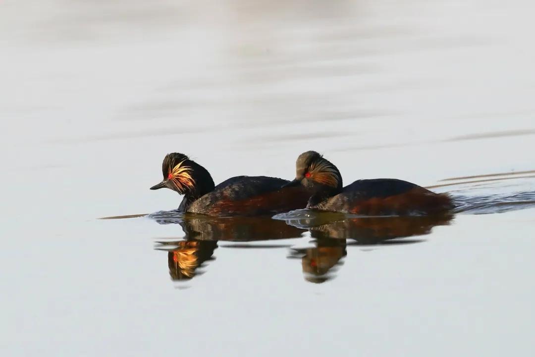 塔城最好旅游季节,塔城好去处