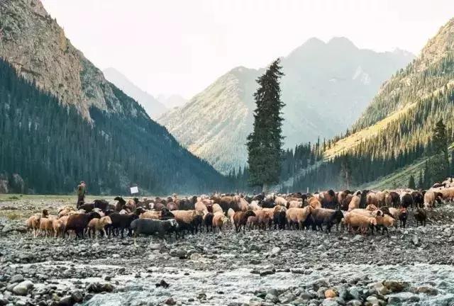 有申根签签证可以去哪些国家,申根签还能免签去哪些国家