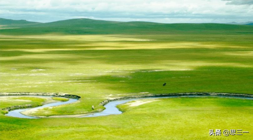 高贵优雅的天鹅象征,天鹅图腾图片