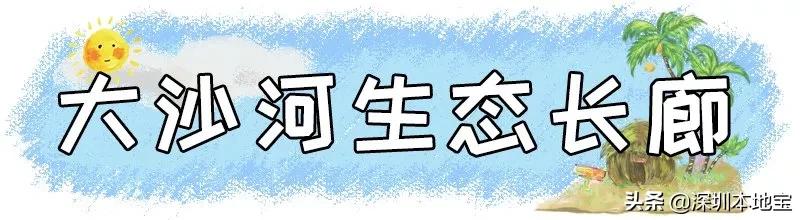 深圳100个免费景点,深圳免费100个景点