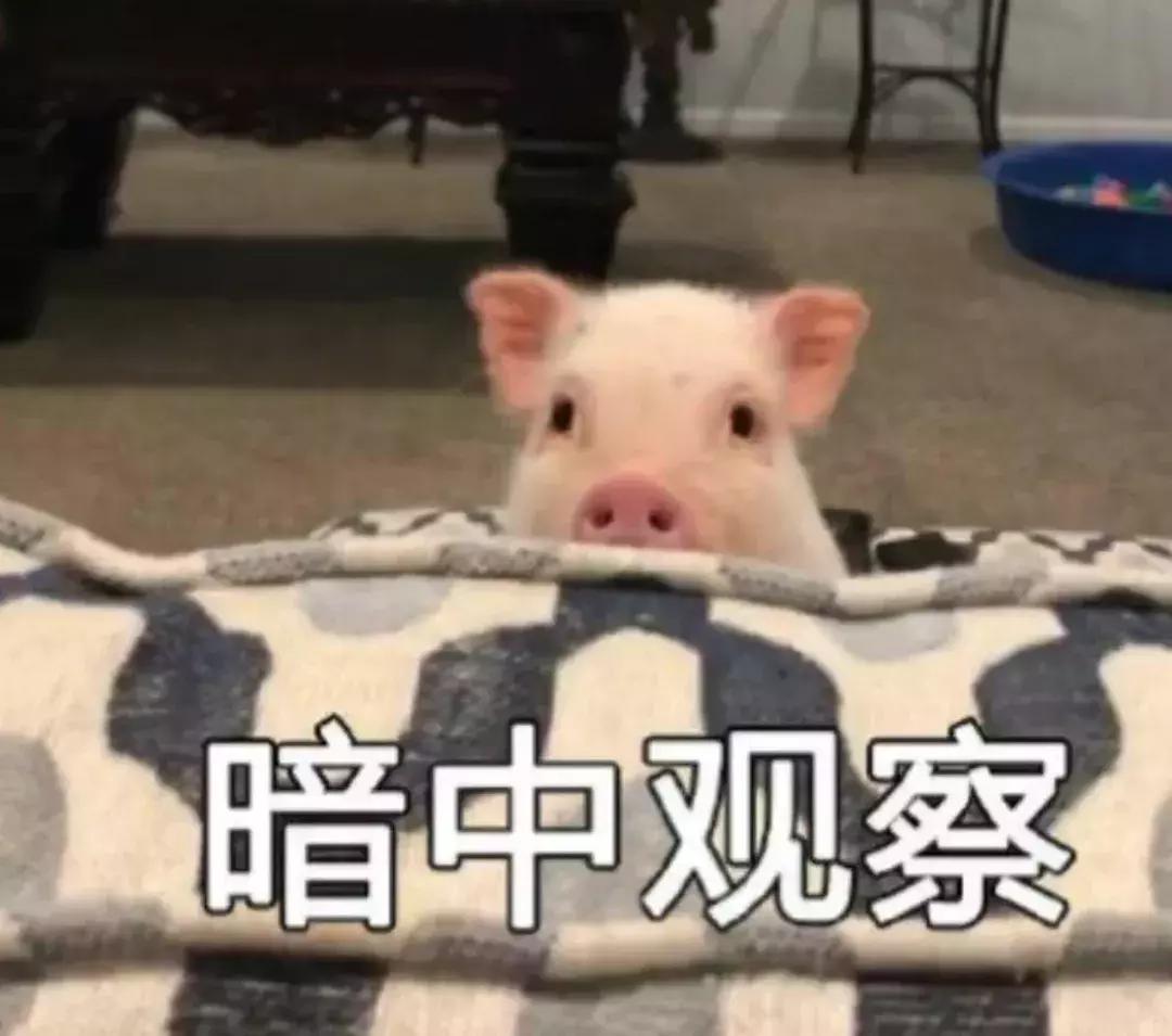 纪梵希跟gucci,纪梵希lvdior