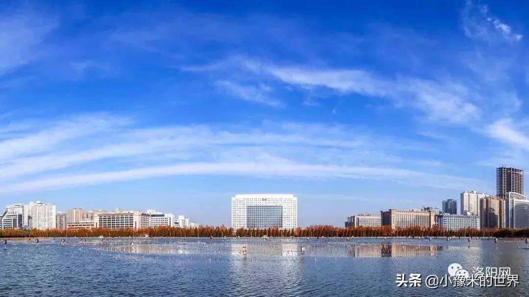 向洛阳人发出邀请国潮盛宴来袭,洛阳发布通知