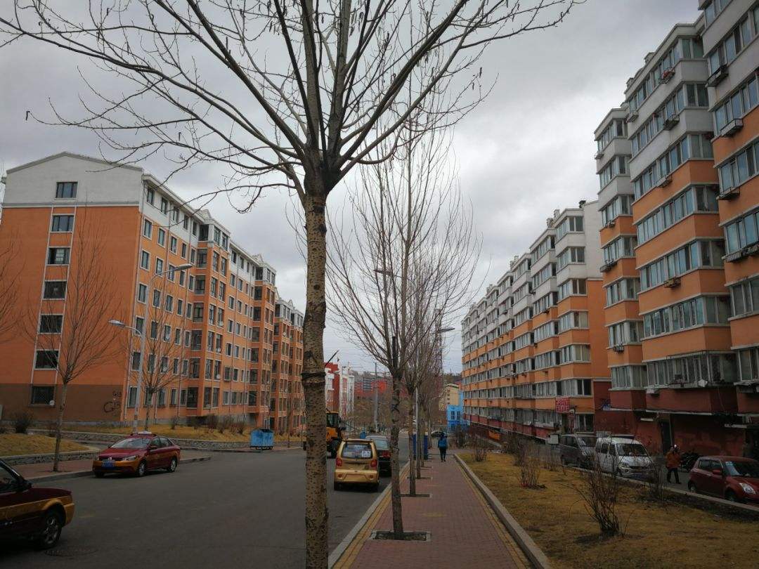 阜新2万块钱56平米的房子,辽宁阜新房子2万一套真的吗