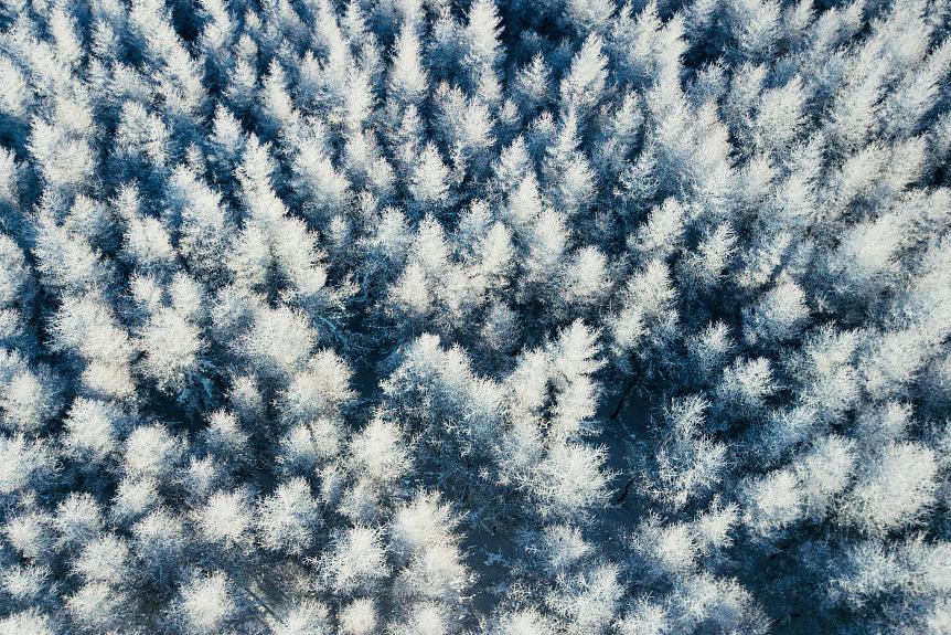 冬天去滑雪场要准备什么,冬天去滑雪关注什么