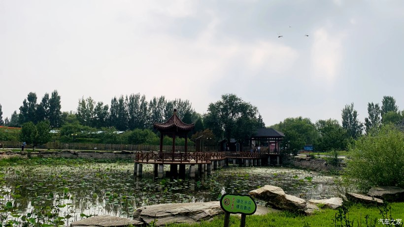 海淀区稻香湖景酒店,北京海淀稻香湖景酒店夜景