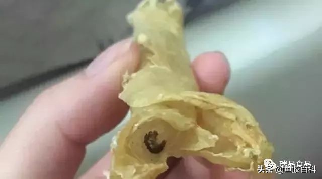 好的花胶要不要泡,好的花胶泡发后会怎样