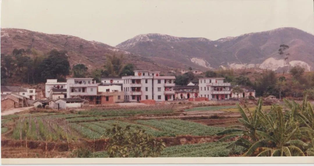 陈福荣深圳,陈福民深圳