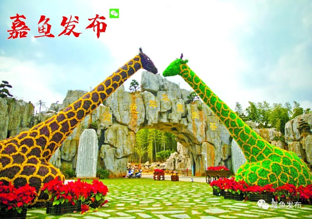 嘉鱼未来十年发展变化,嘉鱼是做什么行业的