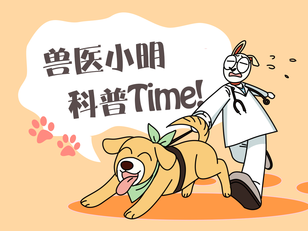 德牧生下白色幼崽,德牧生了8只苏联红