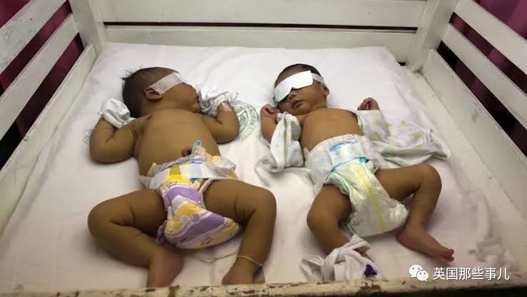 在菲律宾买只猫多少钱,在菲律宾卖童装