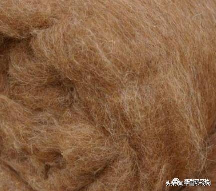 鏈嶈闈㈡枡鍩虹鐭ヨ瘑妫夋枡,鏈嶈璁捐甯堝浣曟壘闈㈡枡