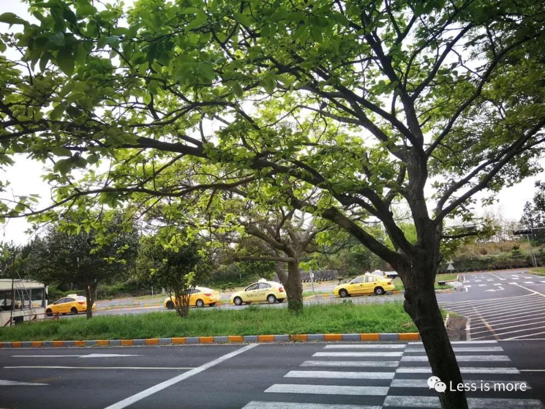 韩国济州岛超详细旅游规划攻略,韩国济州岛攻略自由行