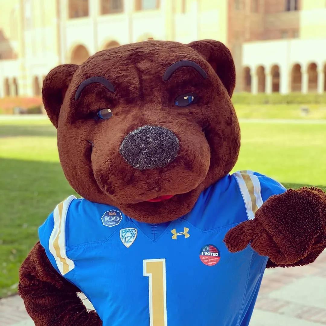 这10所美国大学最受申请者青睐,美国十所著名大学