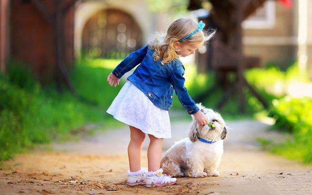 孩子和7岁狗狗失踪,狗狗失踪十五天后带回来个女朋友