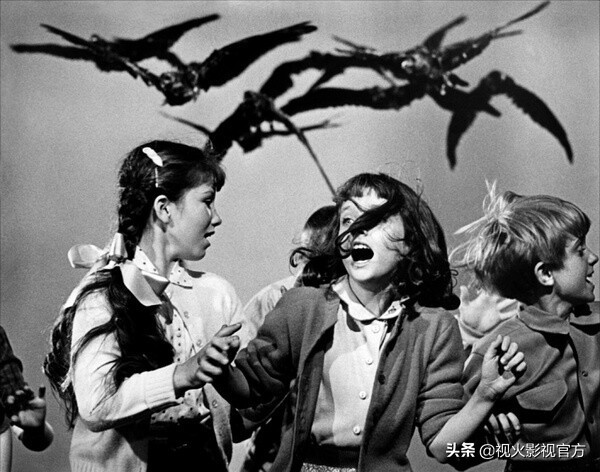 电影镜头语言术语大合集,电影镜头语言有哪几种