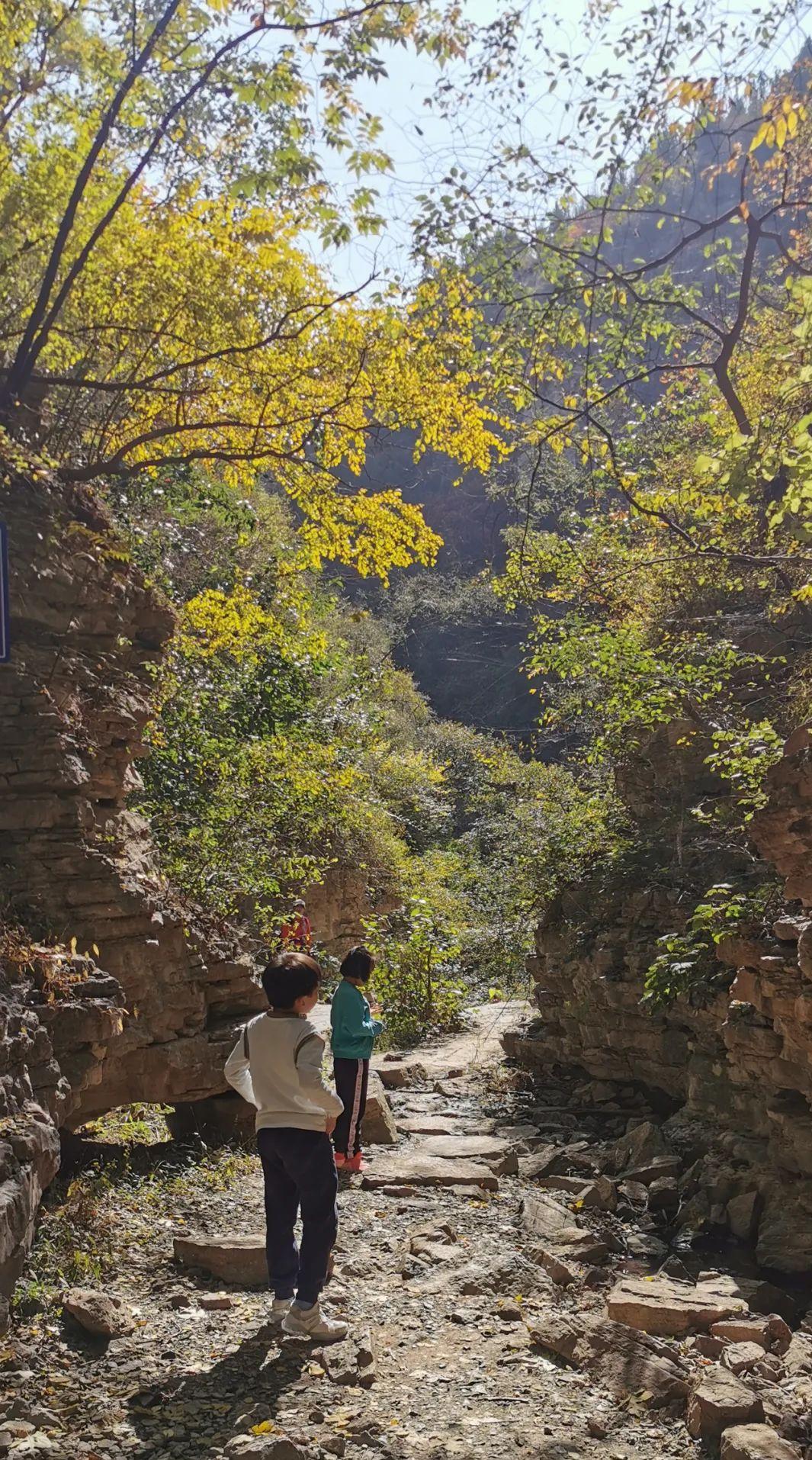 济南适合带娃去的公园,济南适合遛娃的景区