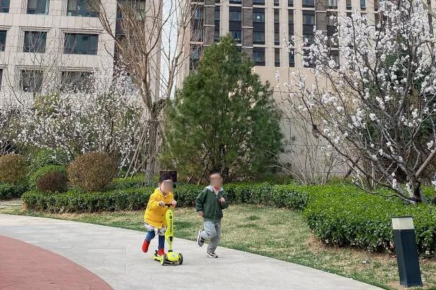 走在春天里简谱,歌曲走在春天里