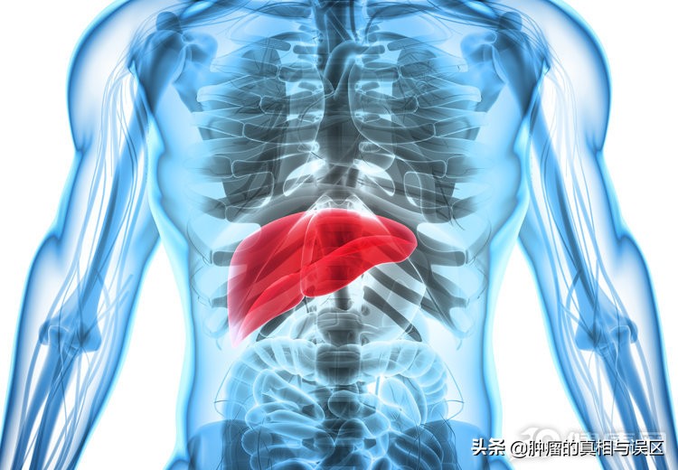 肝痛就是肝癌了吗,肝区疼痛怎样判断是肝痛还是胆痛