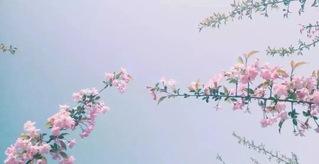 无锡遛娃户外免费,无锡惠山区遛娃好去处