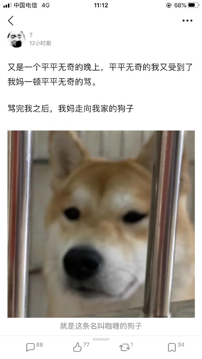 日本女艺人中枪倒地表现,女艺人表演中弹