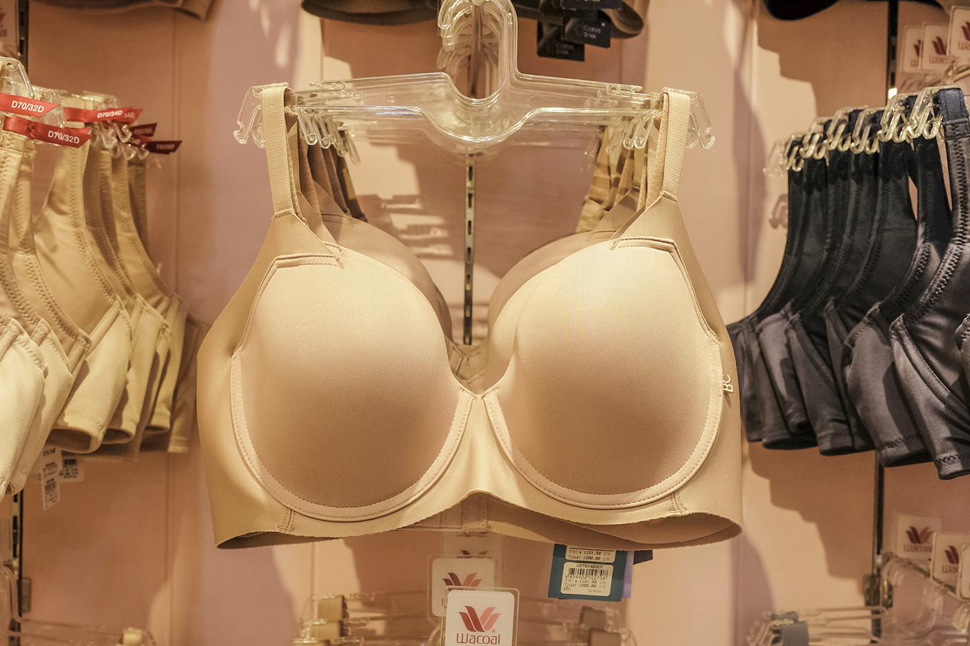 泰国芭提雅自由行日志,泰国芭提雅之旅视频