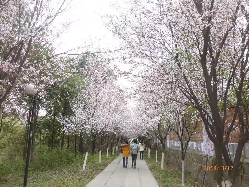 春天里的祝福短信,春天里的留言范文大全