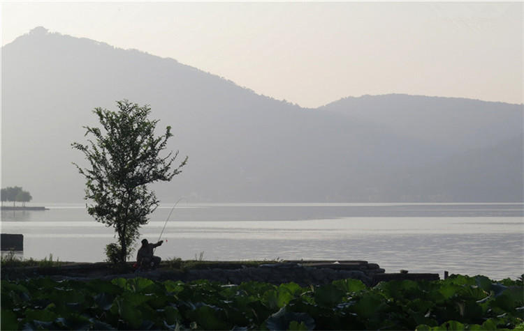 鱼护怎么防止老化,好一点的鱼护有必要吗