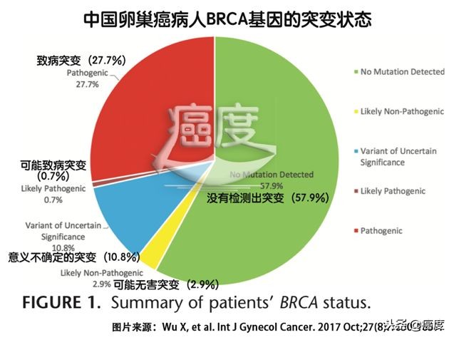 协和妇科向阳讲卵巢癌,卵巢癌攻克新消息