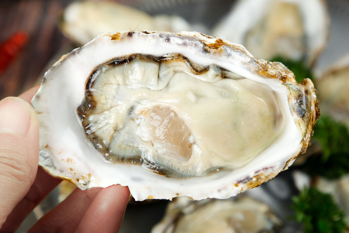 改善睾酮水平训练,健身是否需要服用促睾酮