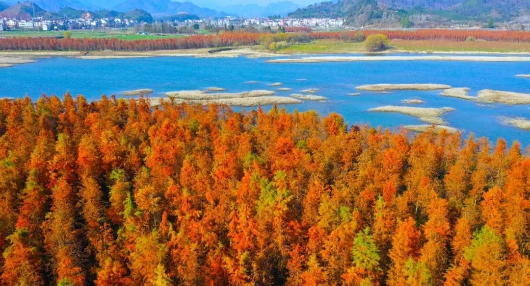 杭州适合拍照风景区,杭州最值得打卡的风景区