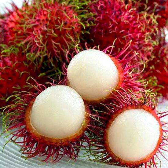 各种没见过的热带水果,常见的热带水果有哪些